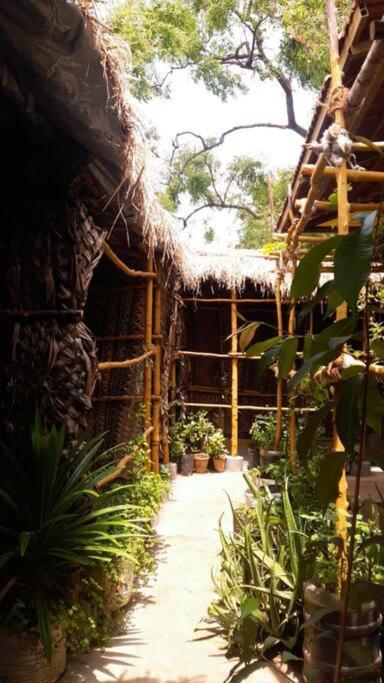 Villa The Vintage House Mysore Exterior foto