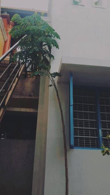 Villa The Vintage House Mysore Exterior foto