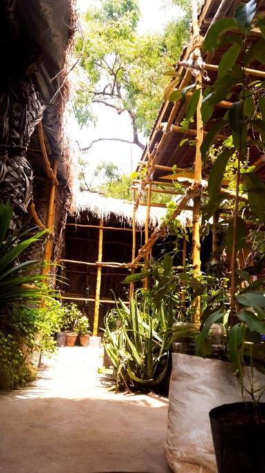 Villa The Vintage House Mysore Exterior foto